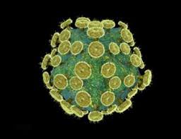 Bloodborne Pathogens Hiv Hbv Hcv Solutions Designed For Healthcare