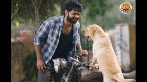 With rakshit shetty, charlie, sangeetha sringeri, raj b. Rakshit Shetty 777 Charlie Teaser Released From Malayalam 8 Stars The Post Reader
