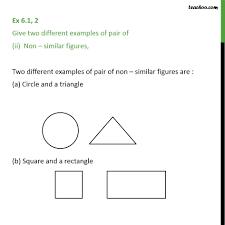 Information and translations of similar in the most comprehensive dictionary definitions resource on the web. Ex 6 1 2 Give Two Examples Of Pair Of I Similar Figures