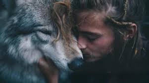 Wolf photos and images