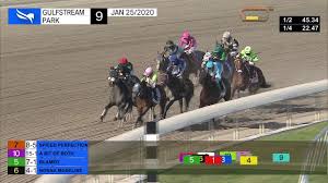 Gulfstream Park January 25 2020 Race 9 Youtube