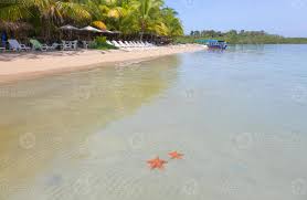 Here, it was created the first marine park of the country. Seesternstrand Bocas Del Toro Panama 1355810 Stock Photo Bei Vecteezy