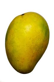 Contextual translation of mangga kunci into english. Mangga Definition And Synonyms Of Mangga In The Malay Dictionary