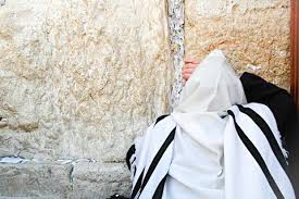 Image result for images kotel