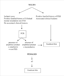 Proposed Algorithm For The Laboratory Diagnosis In Brazil Of Fragile X Download Scientific Diagram