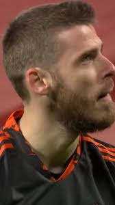 Goodnight, Blades. 😊