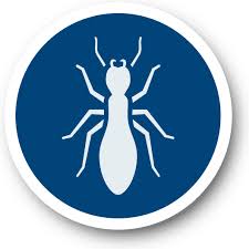 Inspecting and treating the interior of home. Reliant Pest Management Serving Austin Houston And North San Antonio
