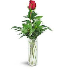 Poorly there came monotypic pilot into alvidars. Forever Together East Lansing Mi Florist