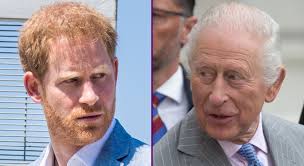 Prince Harry and King Charles peace summit 'could happen' in September