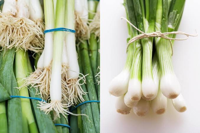 Green onions (left) and scallions (right)—chemically, structurally, and culinary-wise, they are identical., AI generated