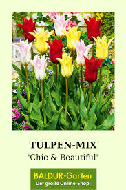 Tulpen Mix Chic Beautiful 1a Blumenzwiebeln Baldur Garten In 2020 Blumenzwiebeln Tulpen Pflanzen