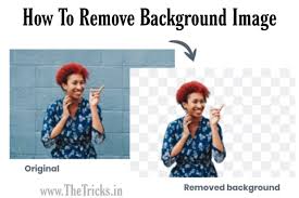 How To Remove Image Background Free Online Using Remove Bg Contribute this image & help us make remove.bg better teach the artificial intelligence how to remove image background free