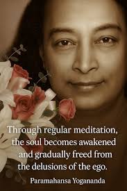 I died as a mineral and became a plant, I died as plant and rose to animal,  I died as animal and I was Man. Why should I fear? When was I