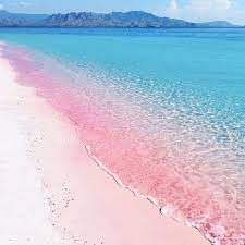 Sur l'île de budelli, au nord de la sardaigne, se trouve la spiaggia rosa, la plage rose, qui doit son nom à la couleur du sable, riche en très petits fragments de corail, granit et coquillages. Pink Beach Budelli Island Recherche Google Paysage Magnifique Mer Paysages Magnifiques Sardaigne