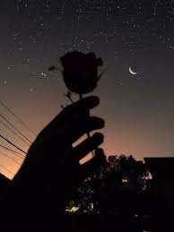 Download the perfect grunge aesthetic pictures. Roses Soft Grunge And Retro Aesthetic Image 6954635 On Favim Com