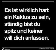 Witzige Spruche Bild Von Anni Sarau Auf Spruche In 2020 Witze Humor Bilder