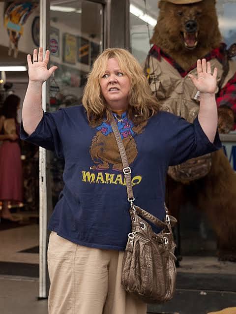 McCarthy and Sarandon toil but 'Tammy' tanks