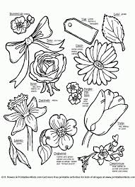 Easy flower drawing for kids at paintingvalley com explore. Drawing Quick Easy Easy Flower Drawing Color