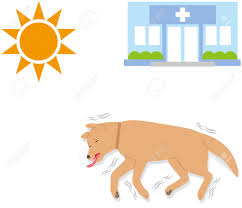 Near syncope, tingling, arrhythmias, and laryngospasms. Symptoms Of Heat Stroke In Dogs Syncope Convulsions Royalty Free Cliparts Vectors And Stock Illustration Image 105795136