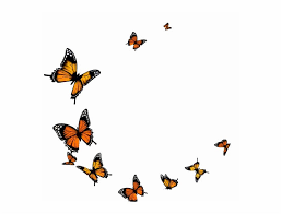 Flying Transparent Background Butterfly Png Butterfly Background Butterfly Watercolor Fly Drawing