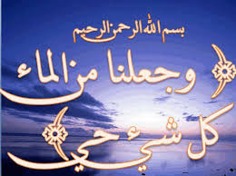 الماء وجعلنا من الماء كل شيء حي Photos Facebook