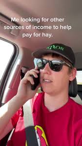 Those hay prices though.#findyourgrace ###boldtclublambs #clublambs  #showsheep #fyp