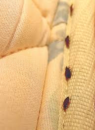 They encase the mattress in an impermeable barrier, preventing existing insects in a bed mattress from escaping while preventing new ones from setting up camp. Bedbugs In Mattress Covers