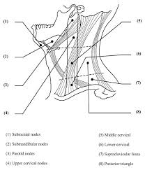 hong kong journal of paediatrics hk j paediatr new series