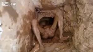 Download the latest version of liveleak for android. Graphic Content Man Attempts To Escape Brazilian Jail Through The Toilet The Mercury