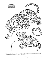 Male And Female Leopard Coloring Page Leopard Coloring Page Coloring Pages Animal Coloring Pages Horse Coloring Pages