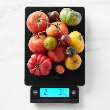 Introduction thank you for choosing the oxo good grips 22 lb food scale! Oxo Good Grips Kitchen Scale Connectintl Com