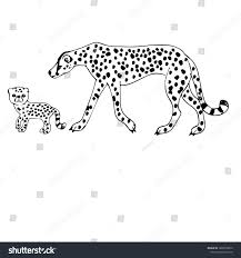 We're learning how to draw them today! Cheetah Cub Sketch Vector Illustration Drawing Stock Vector Royalty Free 1600718872