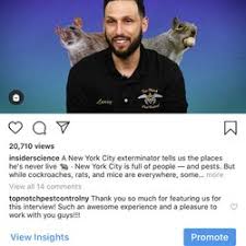 1531 western ave las vegas nv 89102. Pest Control In New York Yelp