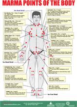 Marma Points Yahoo Image Search Results Acupressure