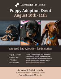 Nonprofit Pet Adoption Event Poster Template Pet Adoption Event Event Poster Template Pet Adoption