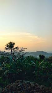 Pemandangan, taman, arsitektur, alam, bangunan, langit, perang, awan. Pemandangan Alam Forest Indah Morning Nice Hd Mobile Wallpaper Peakpx