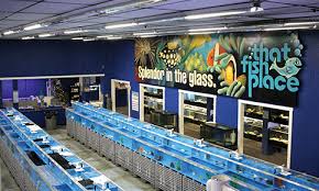 Good place for pet supplies. Pet Supplies And Fish Supplies At That Fish Place That Pet Place