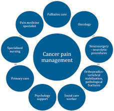 Nurses have advanced practice, research, and education in the field of cancer pain management. Management Of Pain In The Terminally Ill Sciencedirect