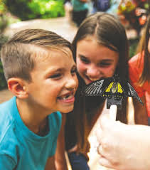 Record Number at 9/11 Memorial Stair Climb at Salt River Fields