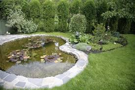 Maybe you would like to learn more about one of these? 6 Important Benefits Of Adding Water Features To Landscape Design Gardenerdy