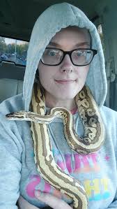 Is this snake a pastel lesser leopard?