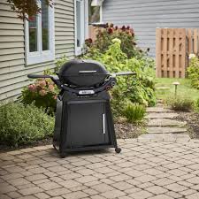 Image result for weber q200
