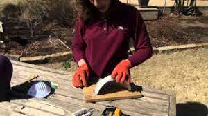 Do not mount the shelf near an active doorway (swallows will defend the nest against passersby). Building A Barn Swallow Nest Youtube