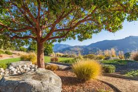 The hotel carmel is a boutique hotel and event venue in carmel. 8025 Carmel Valley Road Carmel Ca 93923 Sold List Price 6 595 000 Mls Ml81456269 Carmel Realty Company