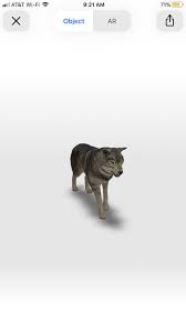 Here S How To Look At Life Size Animals In Ar Through Google Search The Verge 3d animals view in my space.