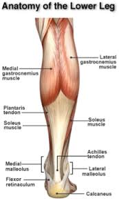 You may have achilles tendonitis. Treatment For Achilles Tendinitis In Phoenix And Scottsdale