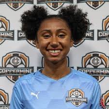 Player Database — The Players Network