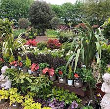 Six Acre Nurseries Posts Facebook