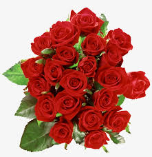 Bouquet of roses five bouquets of fresh roses in different colors, isolated on a white background. Red Rose Clipart Colourful Flower Bouquet Of Roses Transparent Png Image Transparent Png Free Download On Seekpng