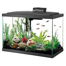 Marina 300 air pump for aquarium $16.99. Aqueon Aquarium Fish Tank Starter Kit With Led Lighting 20 Gallon Amazon In Pet Supplies